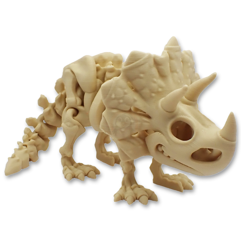 Kostra Triceratopse