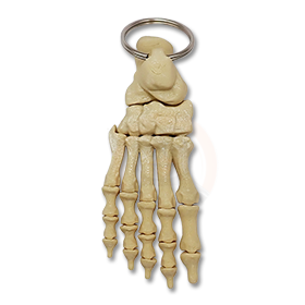 Přívěsek na klíče Noha Kostlivce pravá
