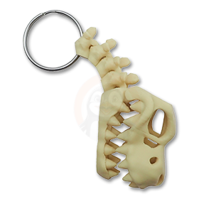 Přívěsek na klíče Tyranosaurus