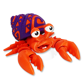 Krab Poustevníček se vzorem