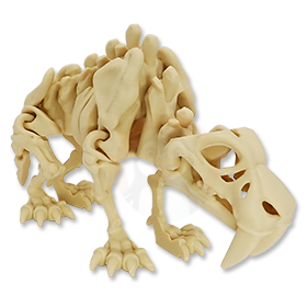 Kostra Šavlozubého tygra