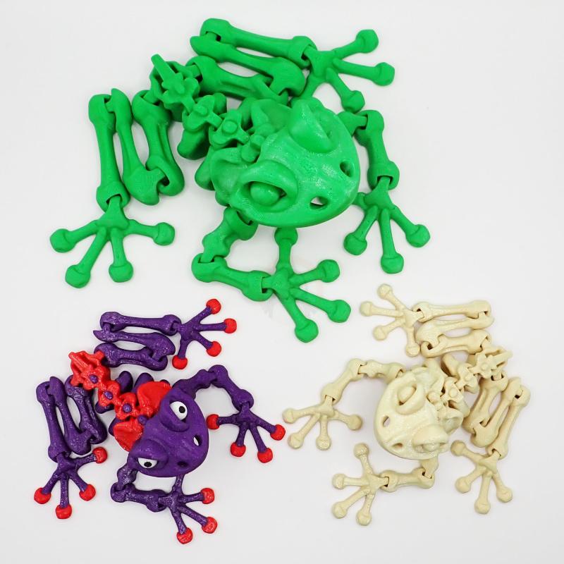 Žabí kostlivec s očima