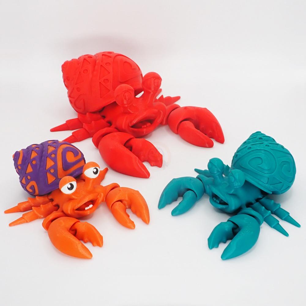 Krab Poustevníček se vzorem