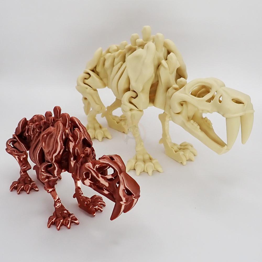 Kostra Šavlozubého tygra