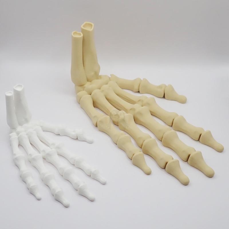 Ruka kostlivce pravá (var. B) 