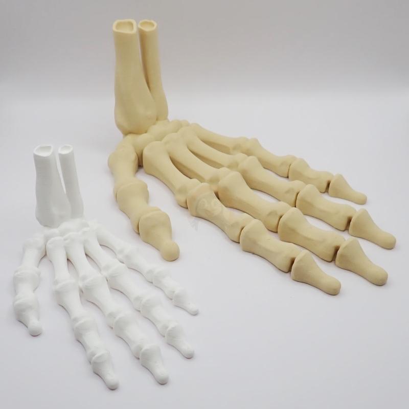 Ruka kostlivce levá (var. B) 