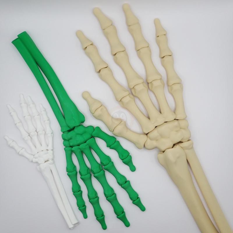 Ruka kostlivce pravá (var. A)