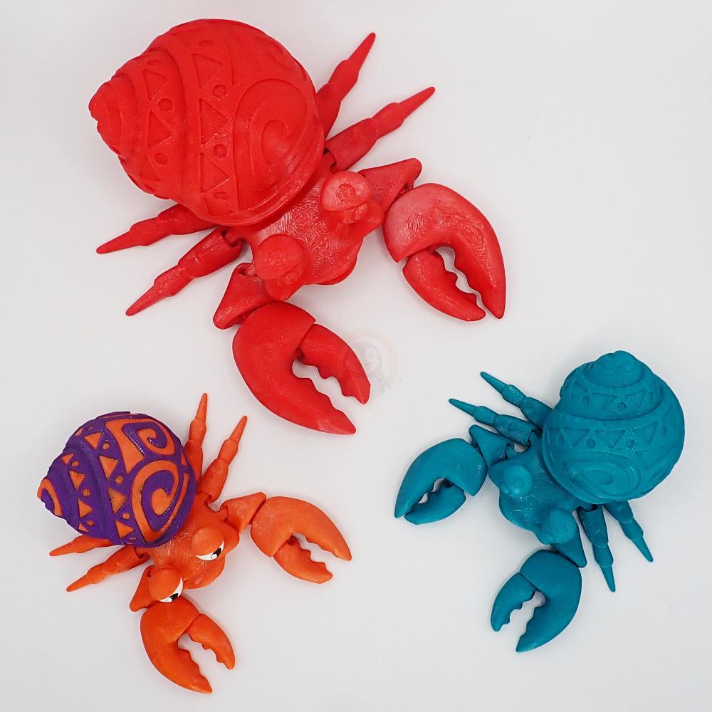 Krab Poustevníček se vzorem