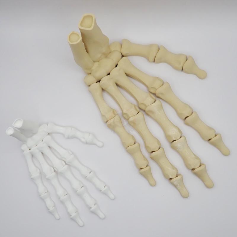 Ruka kostlivce pravá (var. B) 