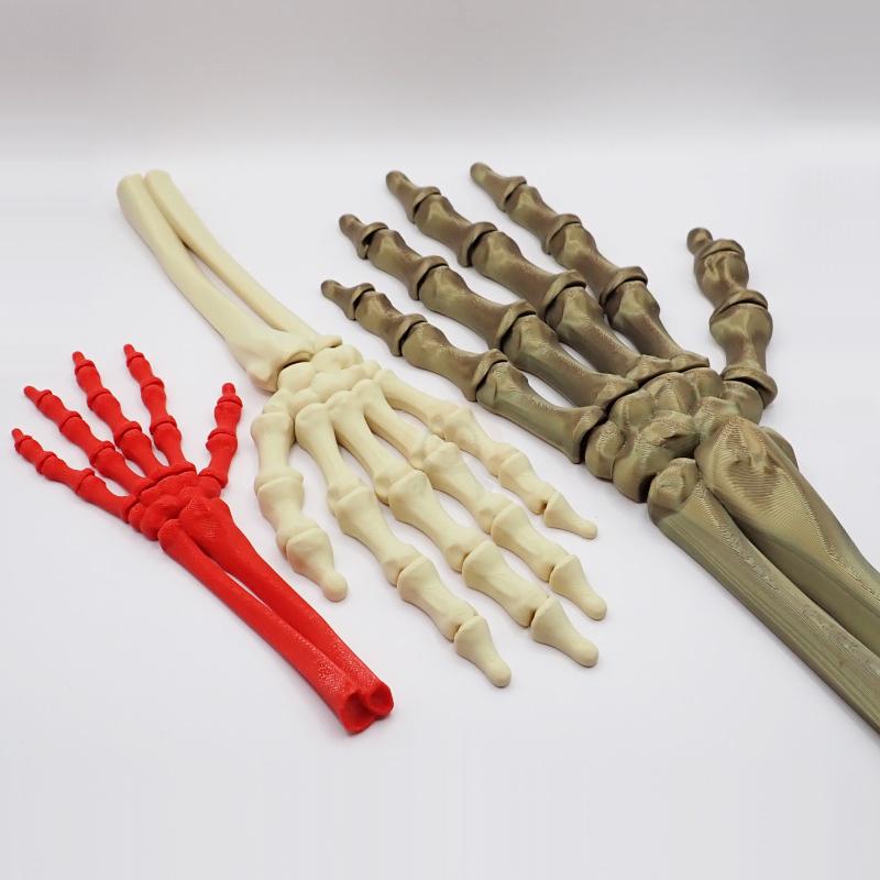 Ruka kostlivce levá (var. A)