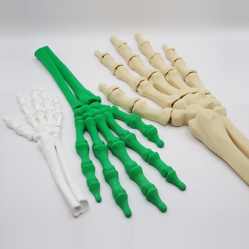 Ruka kostlivce pravá (var. A)