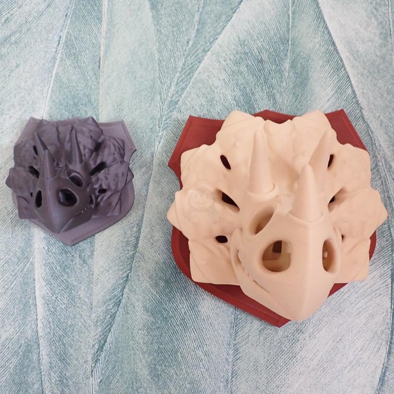 Dekorace na zeď Triceratops