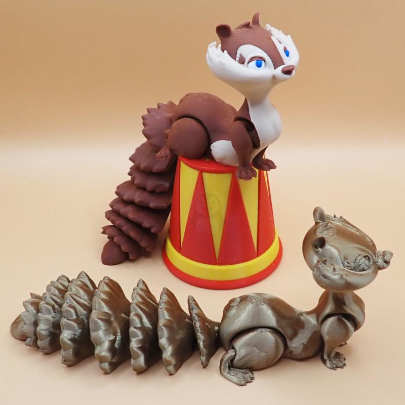 Veverka s krátkým ocasem