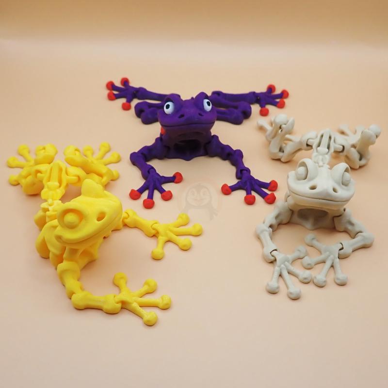 Žabí kostlivec s očima