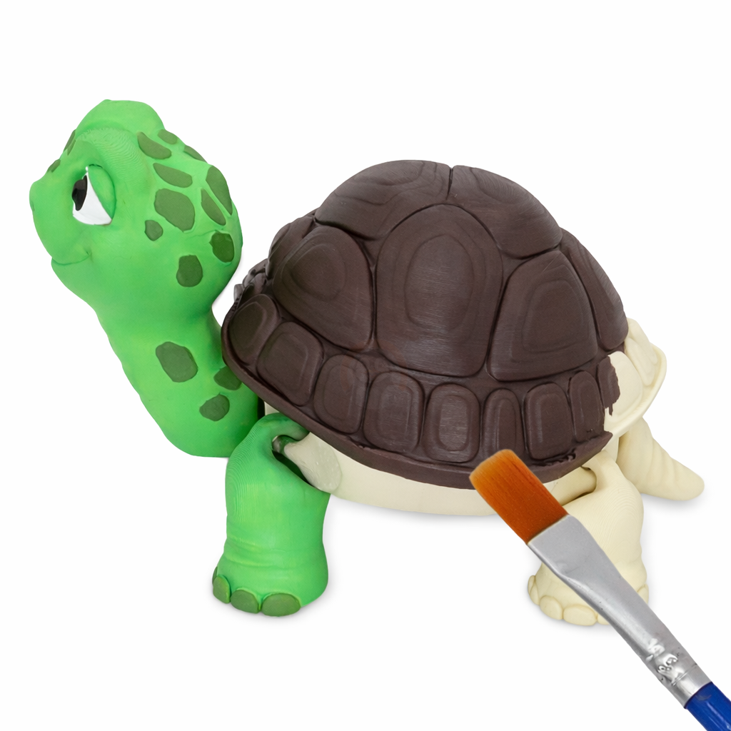 Želva obrovská s tajnou skrýší - Kreativní 3D Omalovánka