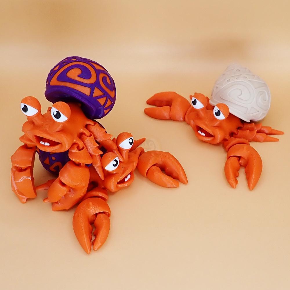 Krab Poustevníček se vzorem