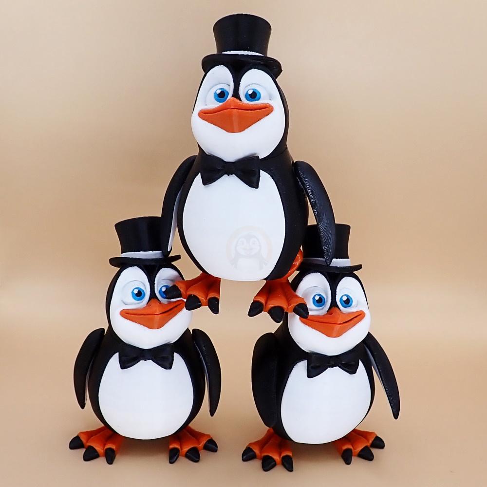 Tučňák elegantní