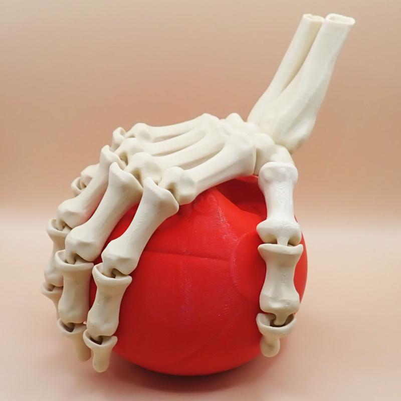 Ruka kostlivce pravá (var. B) 