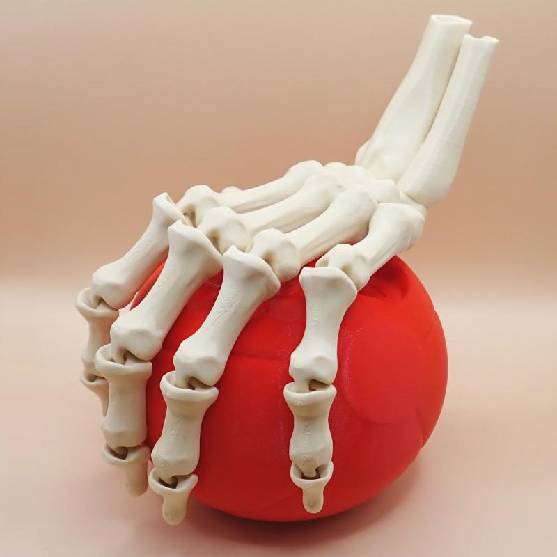 Ruka kostlivce levá (var. B) 