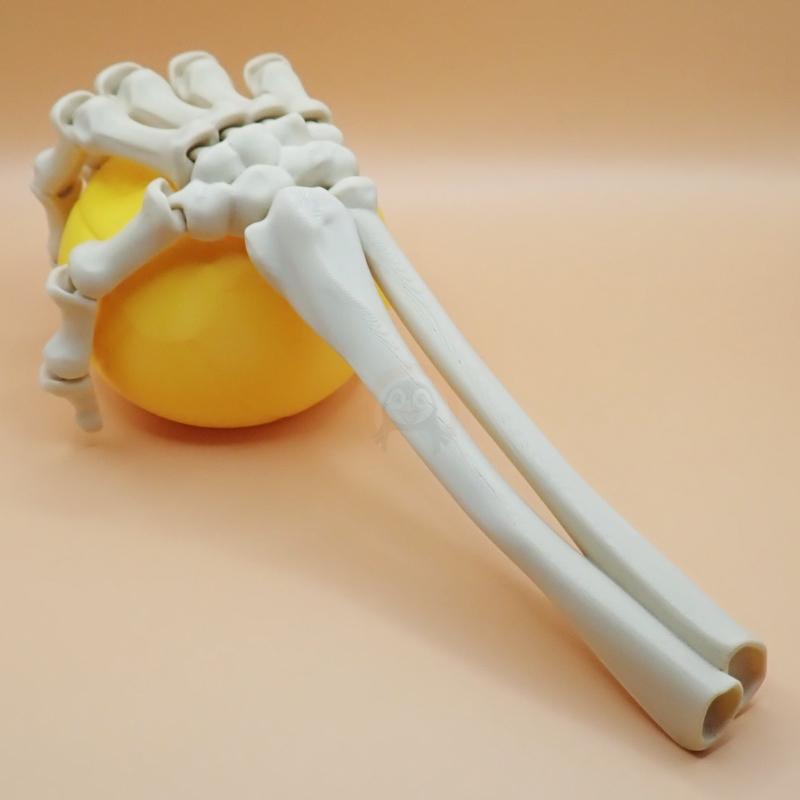 Ruka kostlivce pravá (var. A)