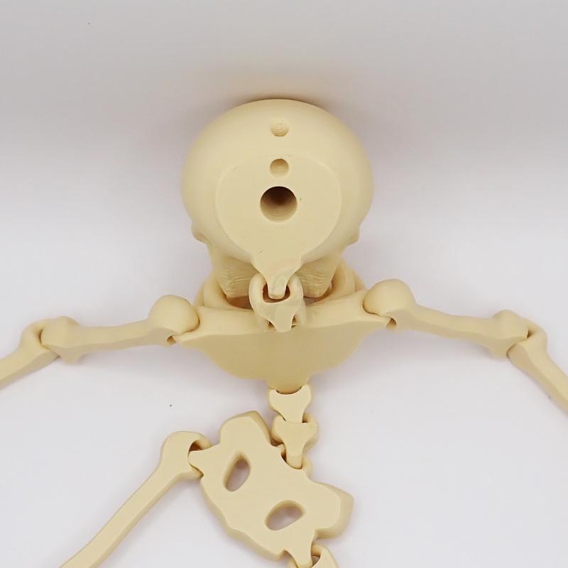 Kostlivec s otvorem na zavěšení