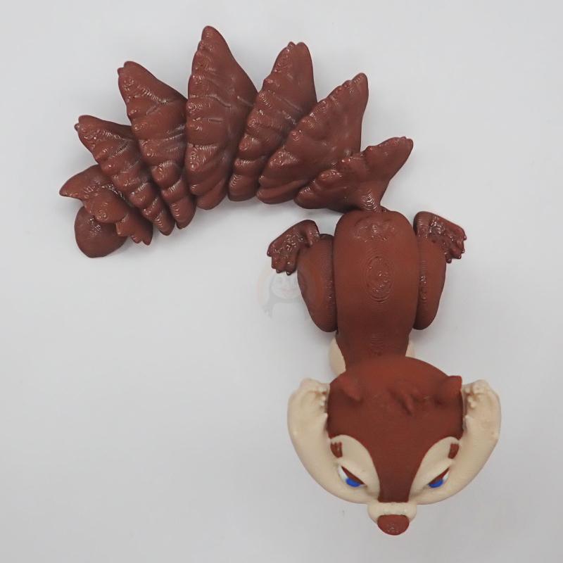 Veverka s krátkým ocasem