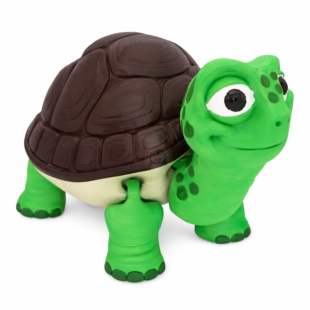 Želva obrovská s tajnou skrýší - Kreativní 3D Omalovánka