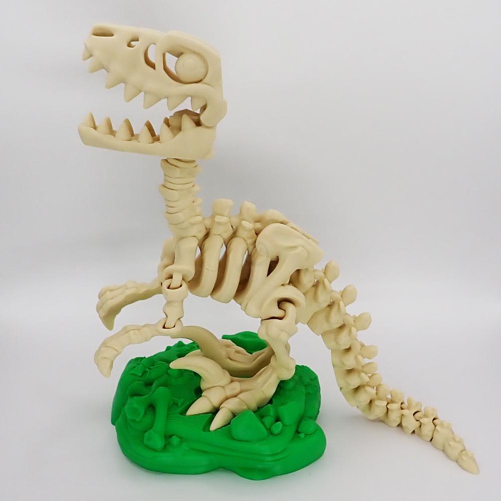 Kostra Raptora s očima