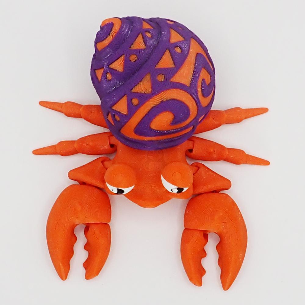 Krab Poustevníček se vzorem