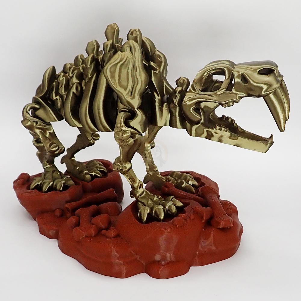 Kostra Šavlozubého tygra