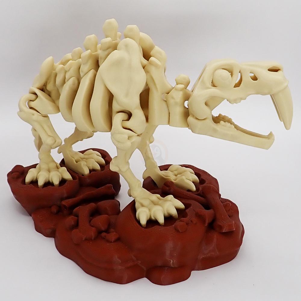 Stojan ke kostře Šavlozubého tygra