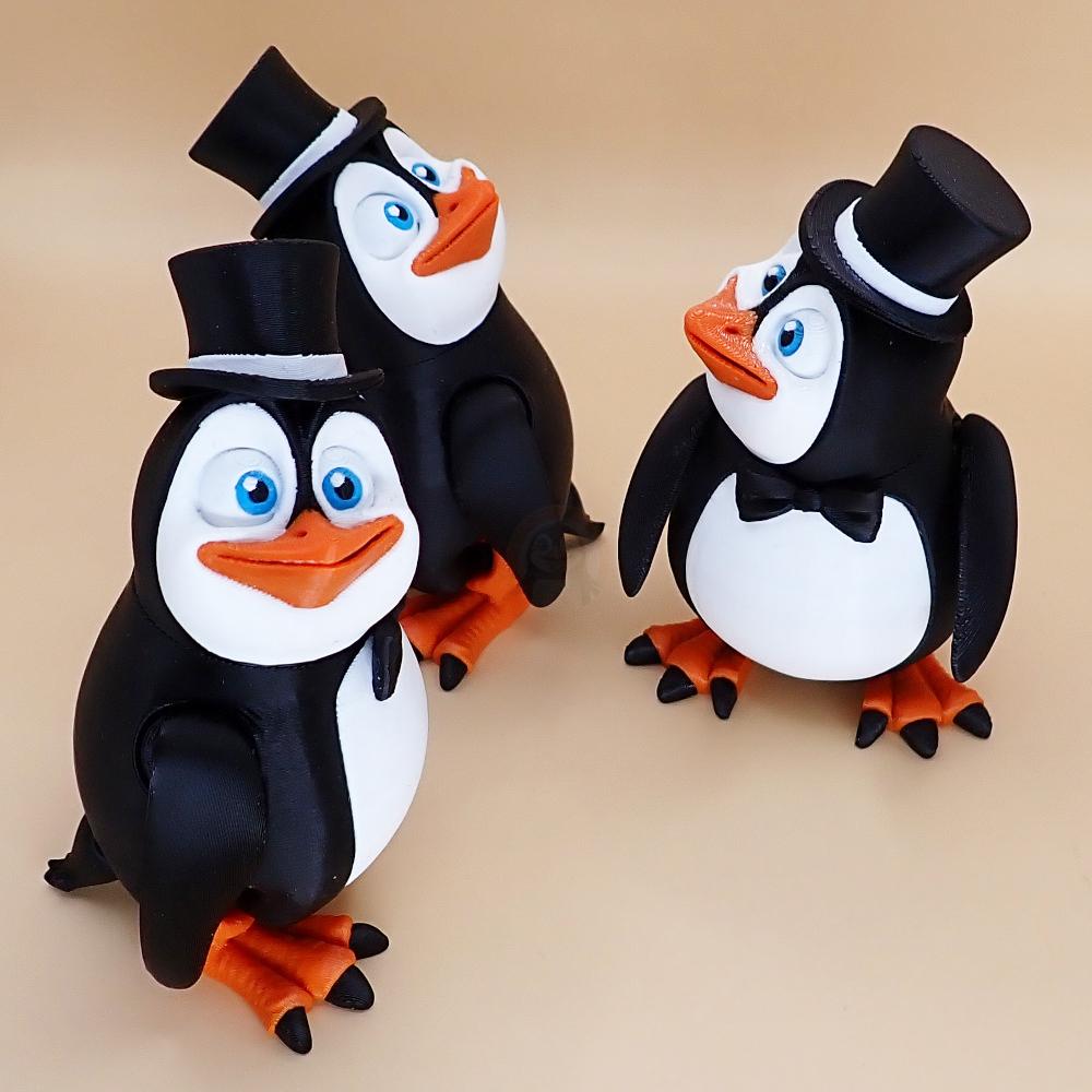 Tučňák elegantní