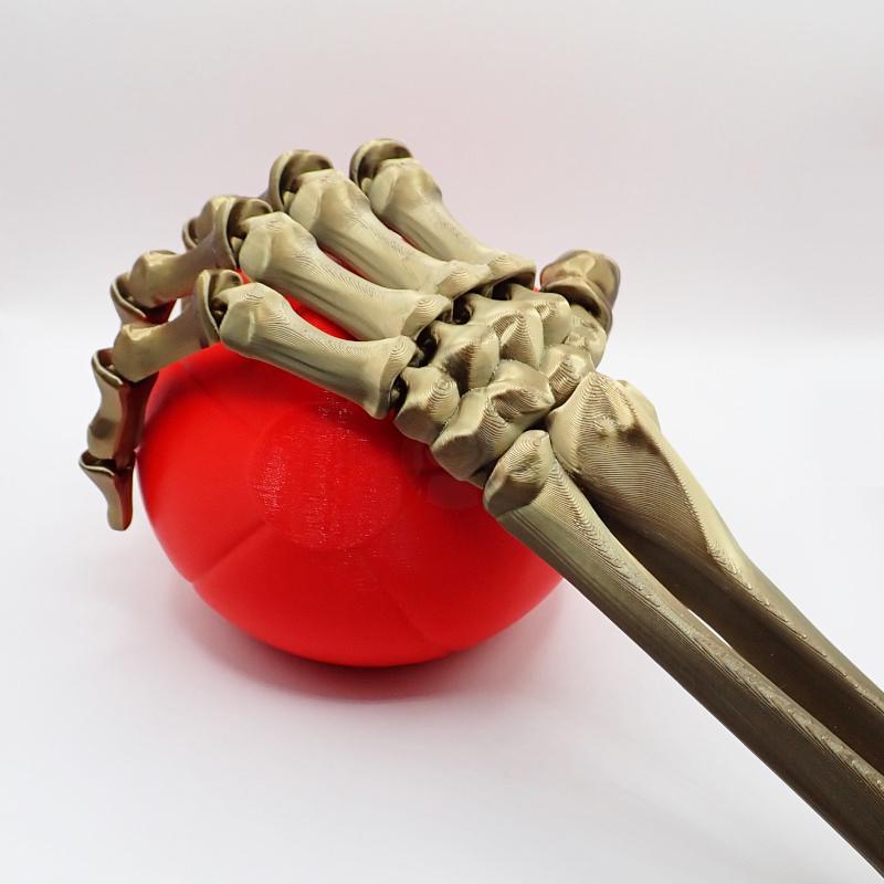 Ruka kostlivce levá (var. A)