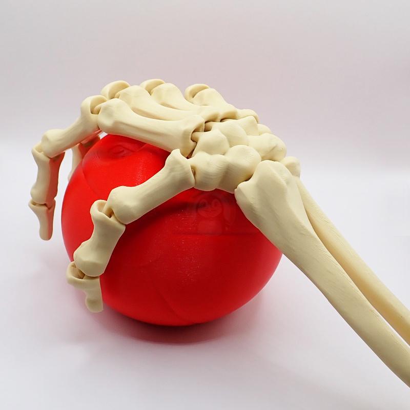 Ruka kostlivce pravá (var. A)