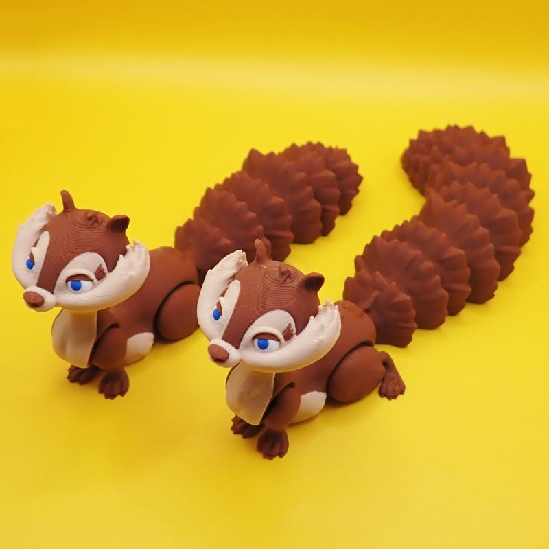 Veverka s krátkým ocasem