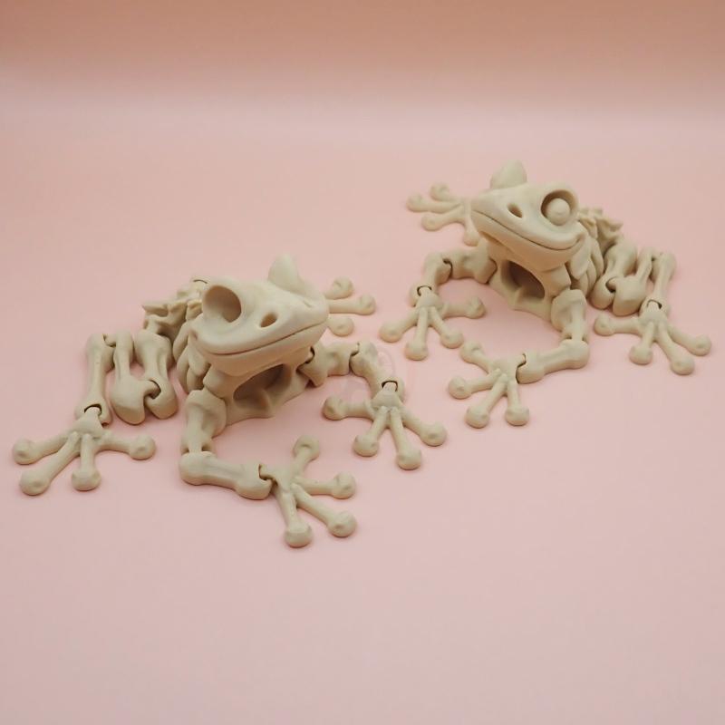 Žabí kostlivec s očima