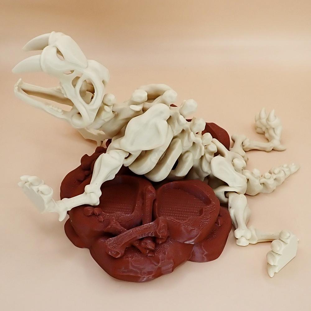 Kostra Šavlozubého tygra