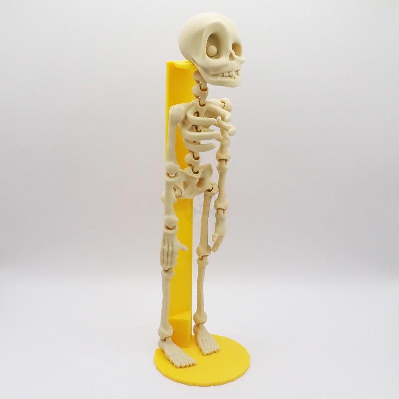 Držák na Kostlivce