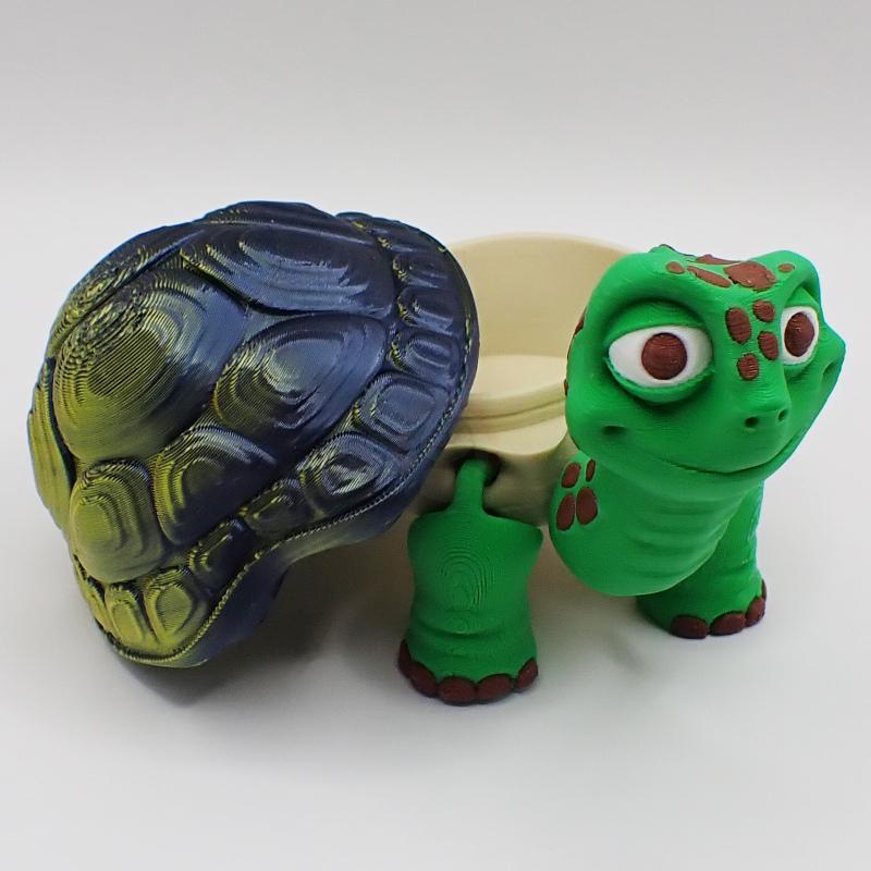 Želva obrovská s tajnou skrýší