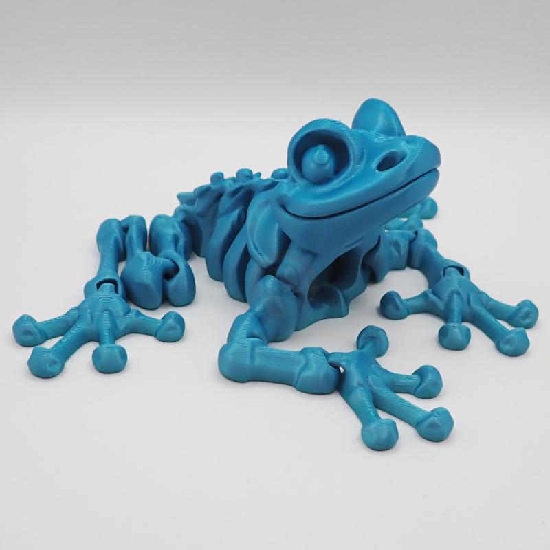 Žabí kostlivec s očima