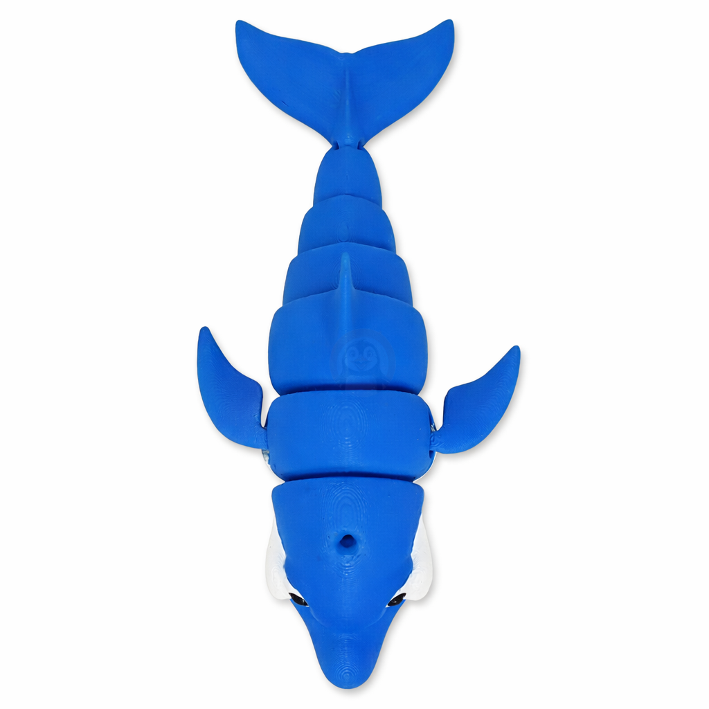 Delfín - Kreativní 3D Omalovánka