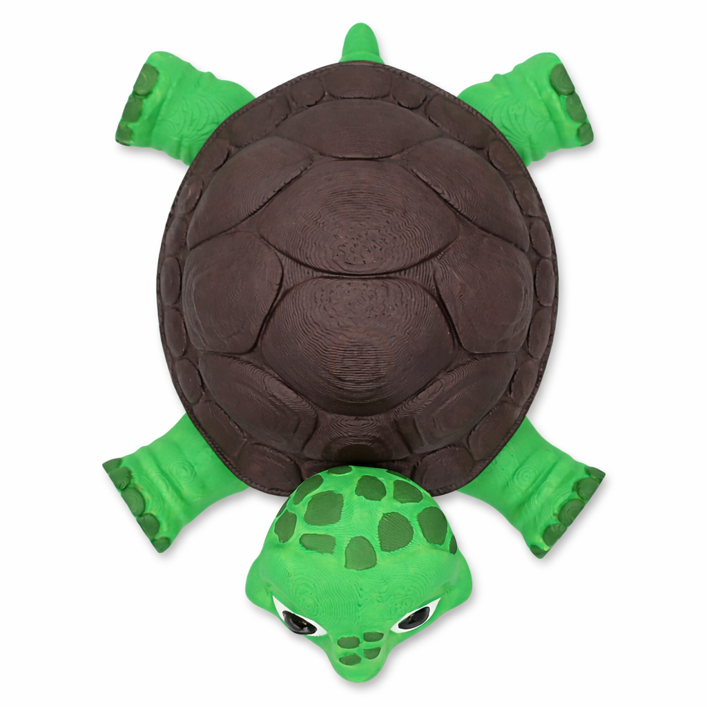 Želva obrovská s tajnou skrýší - Kreativní 3D Omalovánka