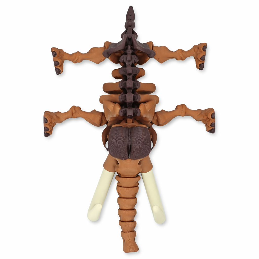 Kostra Mamuta s chobotem - Kreativní 3D Omalovánka