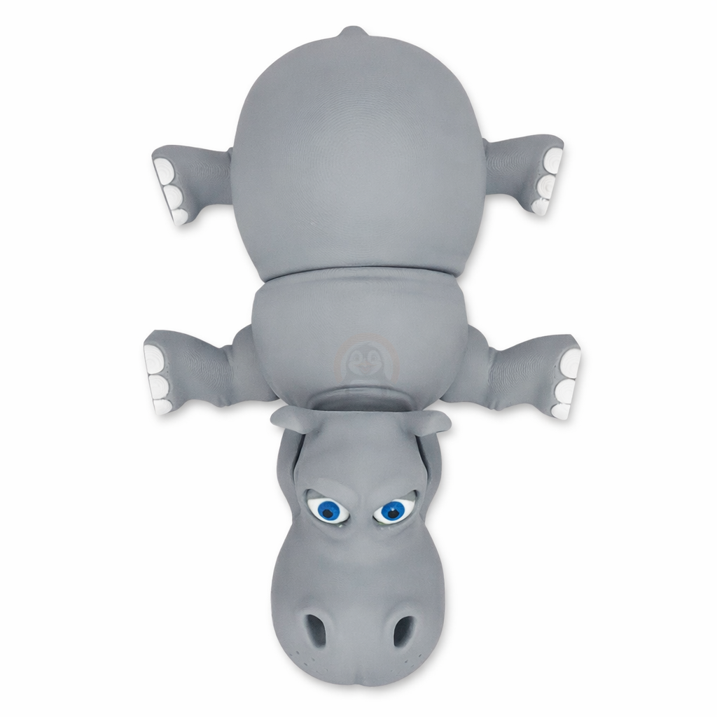 Hroch - Kreativní 3D Omalovánka