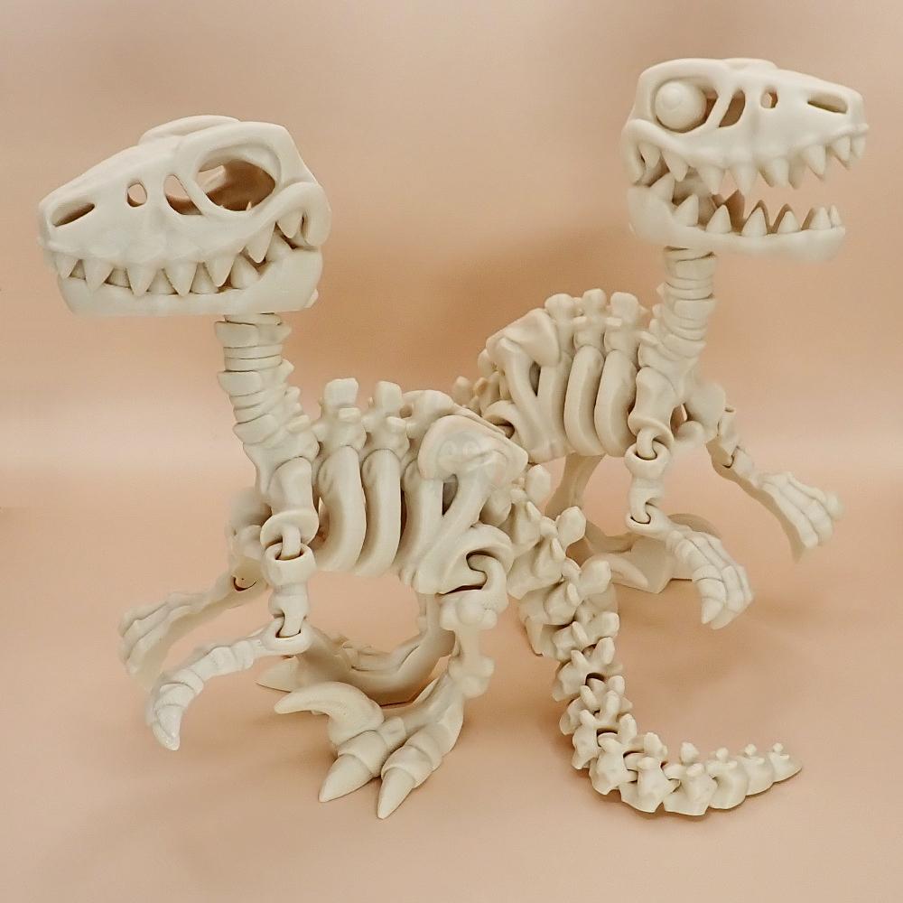 Kostra Raptora s očima