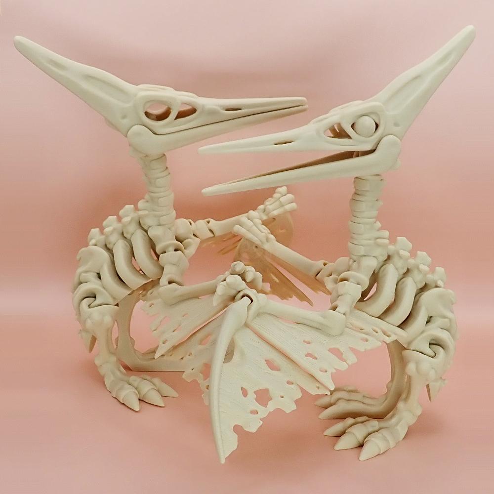 Kostra Pterodaktyla s očima