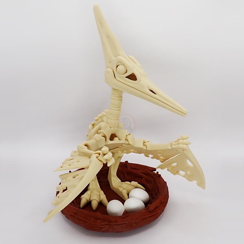 Hnízdo ke kostře Pterodaktyla