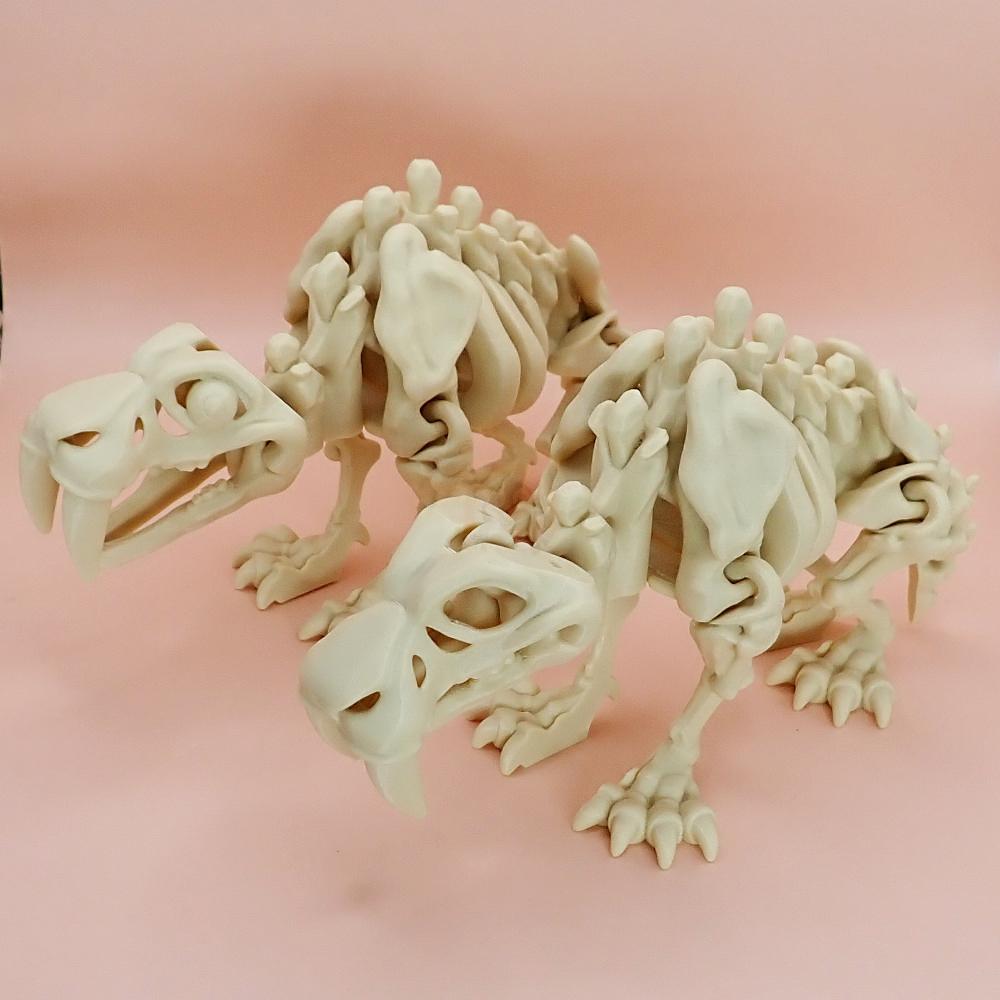 Kostra Šavlozubého tygra s očima