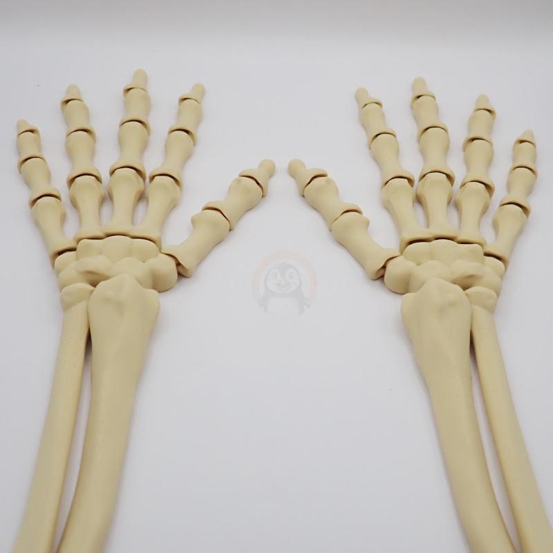 Ruka kostlivce pravá (var. A)