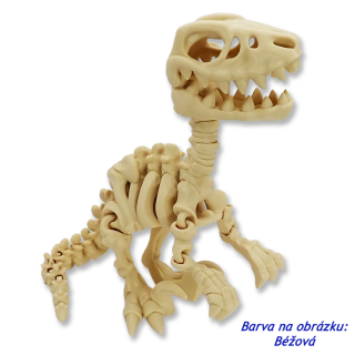 Kostra Raptora